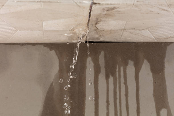 Professional Water Damage Inspection technician working in Sartell, MN